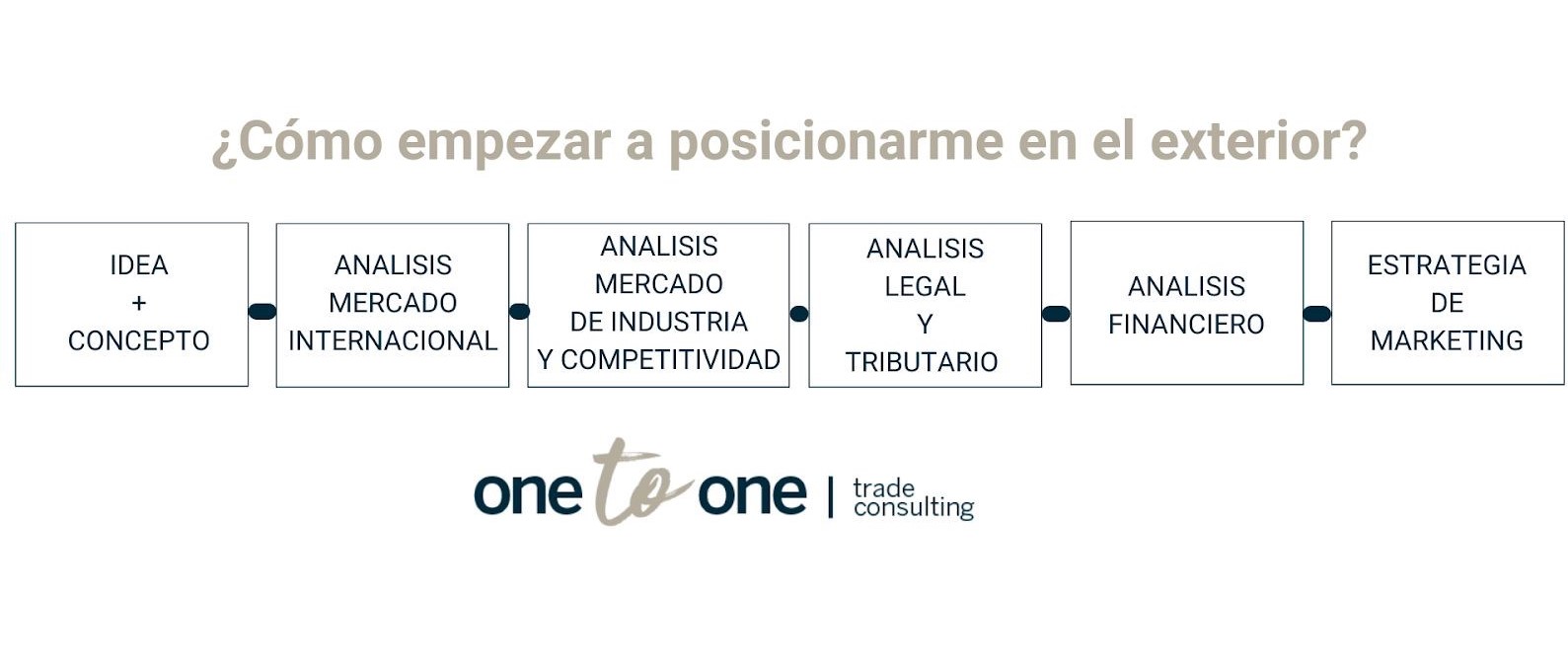 grafico conceptual